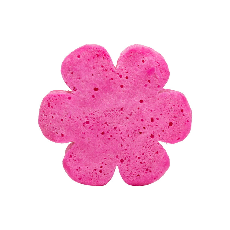 Soap Spongie - Flowery Fresh